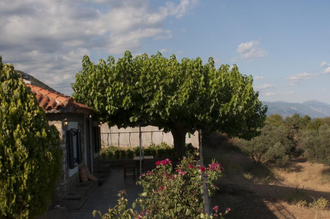 Villa Anna Nafpaktos Eksteriør billede